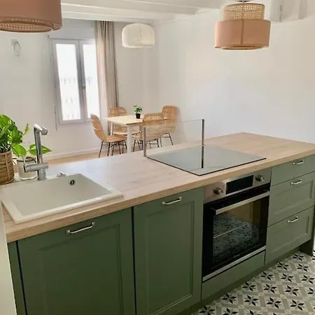 Apartment Duplex Climatise, Belle Terrasse Centre *