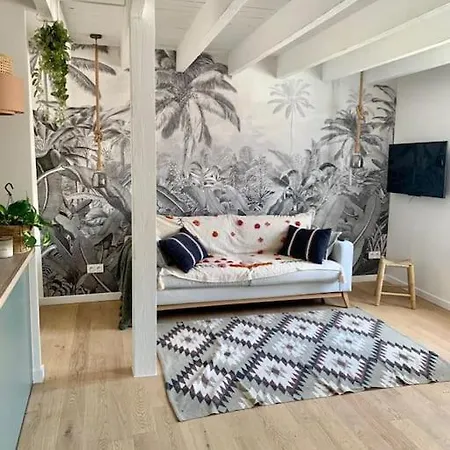 Duplex Climatise, Belle Terrasse Centre